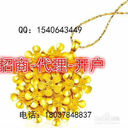 纬德大宗招商-代理金融服务