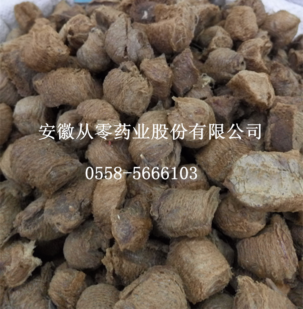 桑螵蛸 产地河北  价格实惠