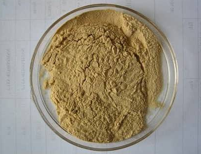 供应儿茶提取物