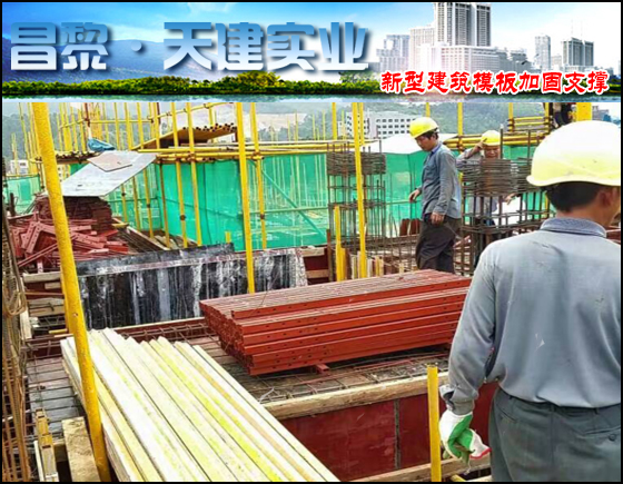电话咨询-剪力墙模板支撑加工图