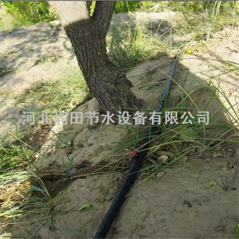 苹果树滴灌PE管设备 湖南株洲市紊流器规格