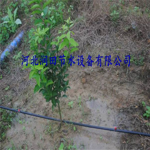 湖南株洲市核桃滴灌工程 果树滴灌设备
