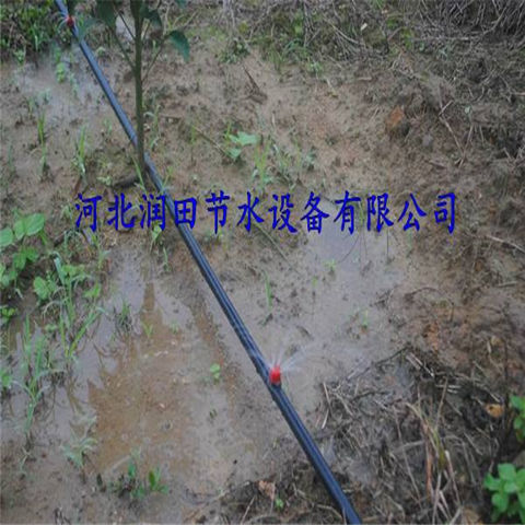 水肥一体化滴灌 湖南株洲市果树滴灌设备