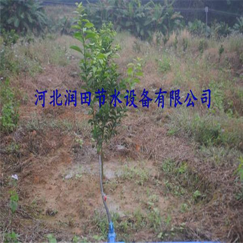 湖南株洲市柑橘滴灌厂家 小管出流节水滴灌