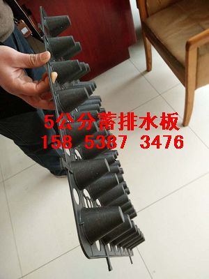 大同2米宽3米宽】卷材排水板-型号齐全15853873476