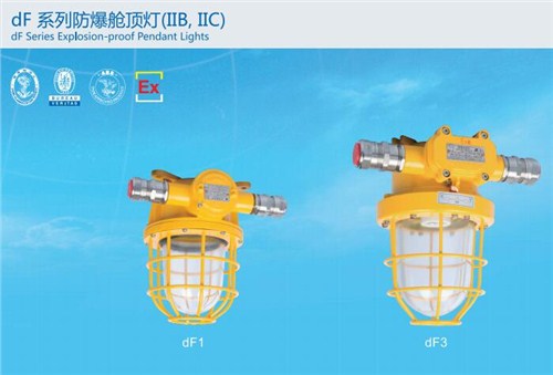 dF防爆舱顶灯供应商 dF防爆舱顶灯价格 赛尔意供