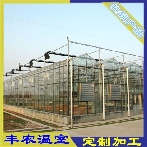 南京温室大棚南京温室大棚价格南京专业温室大棚厂家丰农供