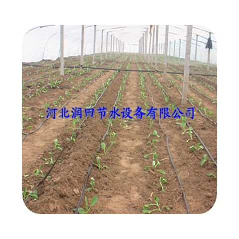 河北保定市滴灌带 滴水软带价格 滴灌厂家现货