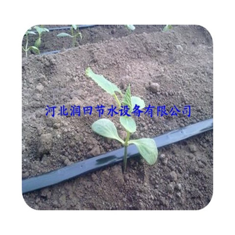 滴灌带 滴水软带灌溉设备 河北保定市大棚滴灌