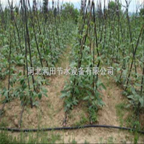 河北保定市有售滴灌带滴水软带大棚滴灌厂家直销