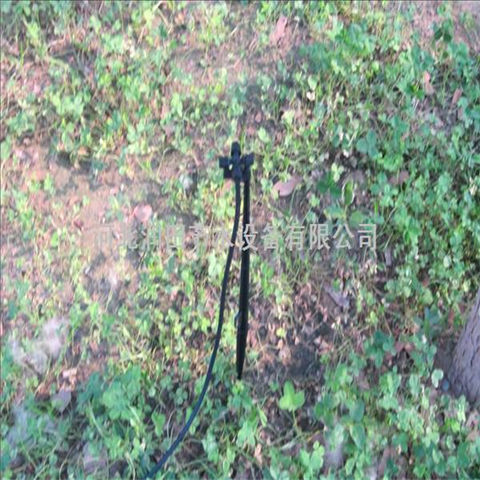 河南洛阳地插微喷头 辣椒灌溉水肥一体化系统
