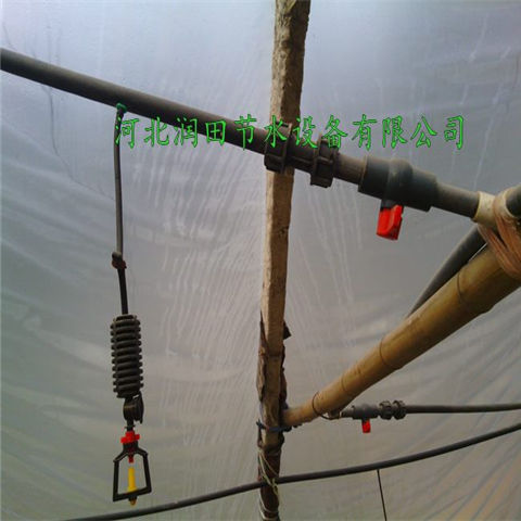 河南洛阳辣椒节水灌溉微喷头 喷灌水肥一体化