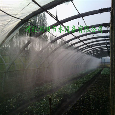 河南洛阳大棚微喷头型号 规格 辣椒喷灌工程