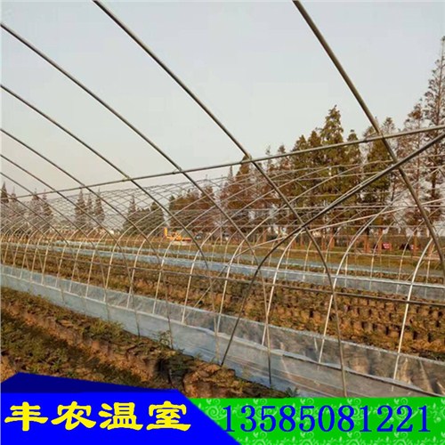 贵州葡萄温室大棚,贵州葡萄大棚厂家,贵州葡萄避雨棚,丰农供应
