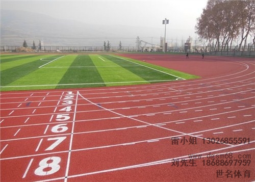 橡胶跑道施工 橡胶跑道施工工艺 橡胶跑道施工材料 世名供
