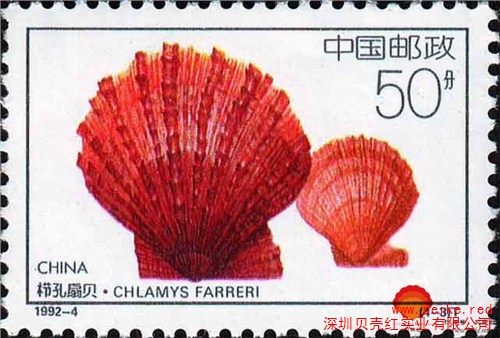 贝壳邮票收藏 贝壳邮票大全 贝壳红供