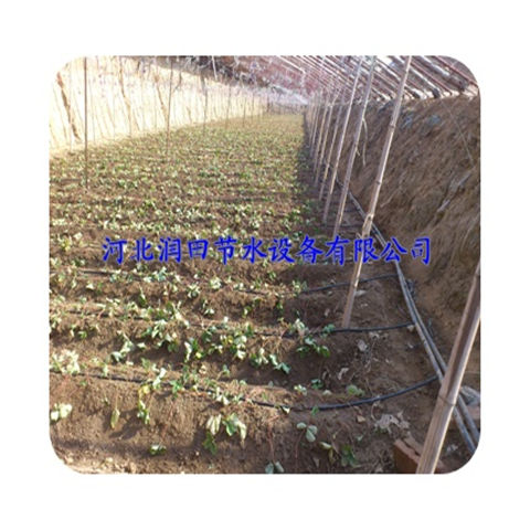 四川绵阳市苦瓜节水灌溉 滴灌管 文丘里吸肥器批发