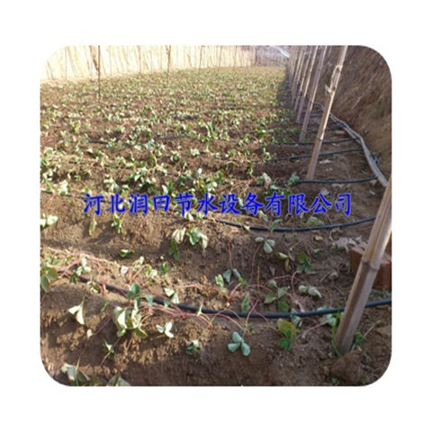 蔬菜滴灌 滴灌管 文丘里吸肥器 四川绵阳市滴灌厂家