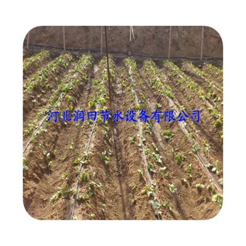 四川绵阳市大棚滴灌管 文丘里吸肥器批发 欲购从速