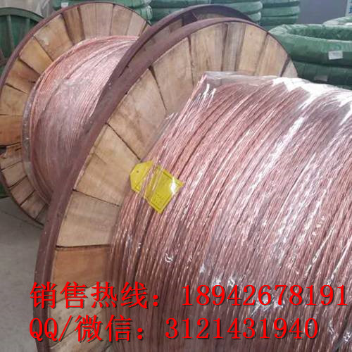 变电站接地线 变电站便携式220KV接地软铜线 接地棒