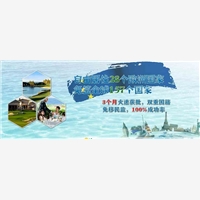 塞浦路斯签证办理，Wo发誓，入籍塞浦路斯钜惠来袭，不行动就亏