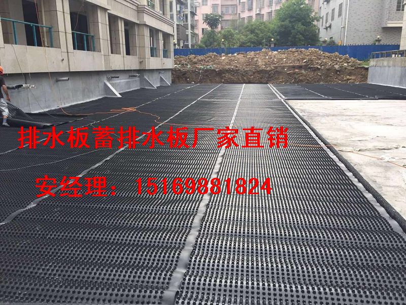 卷材(商丘2公分排水板)车库排水板网格布