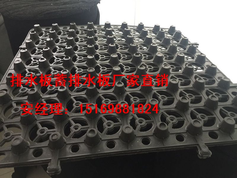 3公分1.2公分2.5公分蓄排水板威海车库滤水