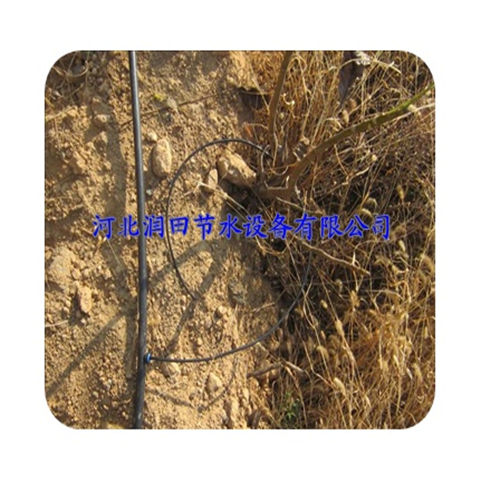 果树专用果树滴灌 涌泉灌 四川自贡市果树滴灌厂家