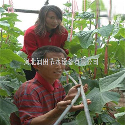 专业大棚滴灌带生产 四川绵阳市辣椒耐用滴水带现货