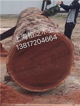 非洲菠萝格木方报价 非洲菠萝格木方现货报价 柏泛供