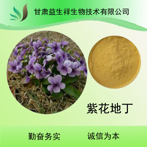 紫花地丁提取物 紫花地丁粉