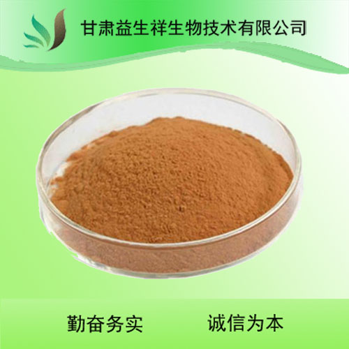 芫荽提取物10:1 香菜粉
