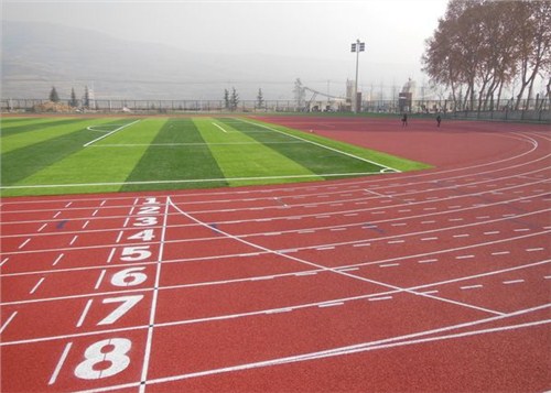 东莞塑胶跑道 东莞塑胶跑道13MM厚200米 世名供