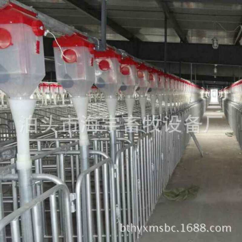 猪舍自动饲喂料线 养猪场专用自动化下料系统系统
