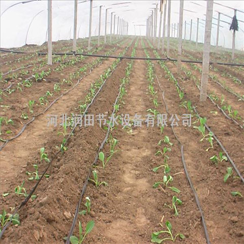 大棚滴灌带型号 河北邢台市红薯滴灌水肥一体化