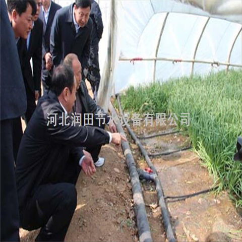 河北邢台市红薯灌溉专用滴灌带 厂家专业设计