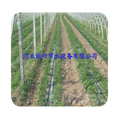 河北邢台市红薯节水滴灌厂家 优质滴灌带批发