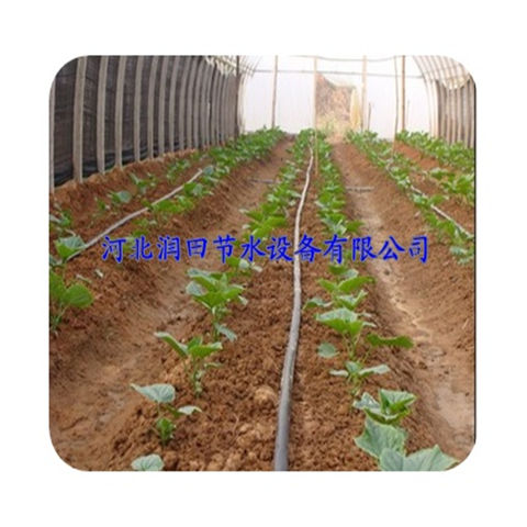 精品滴灌带现货 河北邢台市红薯节水滴灌设备定制
