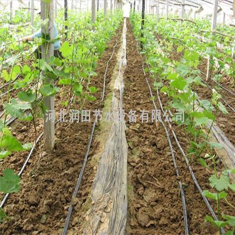 河北邢台市红薯节水滴灌带 灌溉均匀使用方便