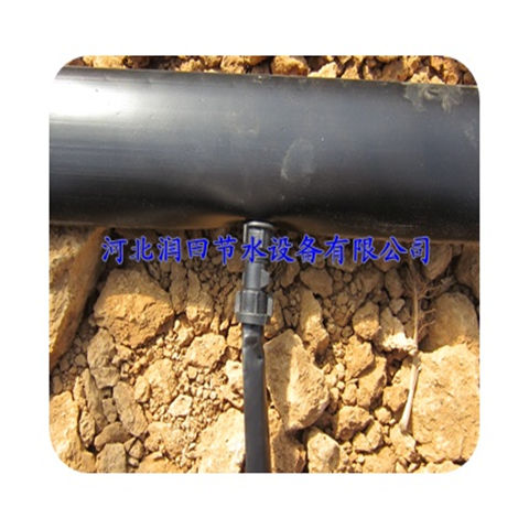 滴灌带大量供应 河北邢台市红薯滴水带生产厂家