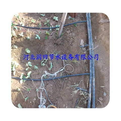 土豆节水灌溉厂家 河北邢台市优质大棚滴灌管现货