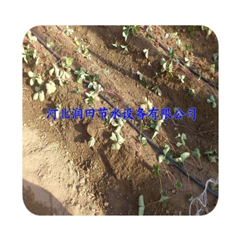 大棚滴灌管规格 河北邢台市滴灌PE管厂家