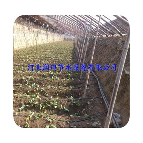 河北邢台市节水滴灌厂家 大棚火龙果滴灌管绿色环保