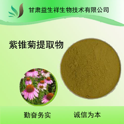 紫锥菊提取物10:1 紫锥菊多酚