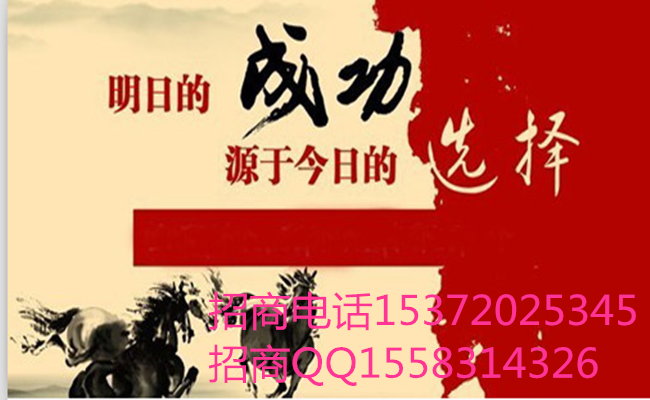 中盈网怎样代理丨中盈网怎样开户