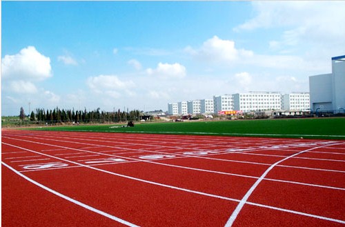 云浮塑胶跑道 云浮塑胶跑道价钱 云浮塑胶跑道厂家 世名体育