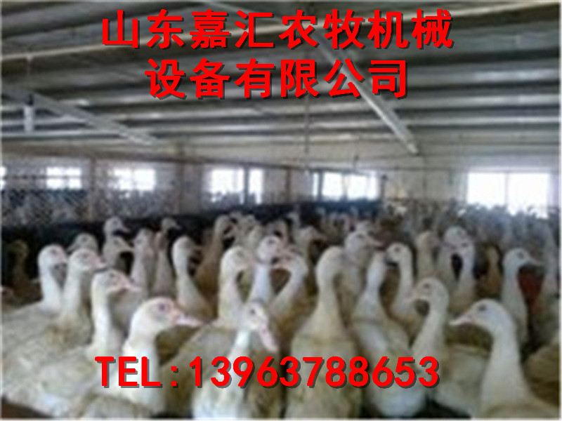 山东嘉汇农牧高新科技推出产蛋箱
