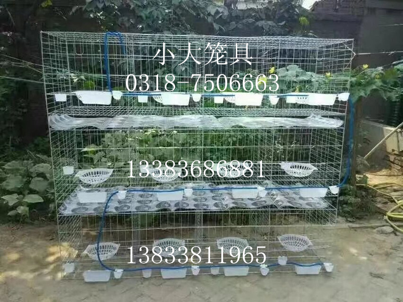 鸡鸽兔笼养殖设备鸡笼鸽子笼兔子笼鹌鹑笼狐狸笼宠物笼运输笼鸟笼