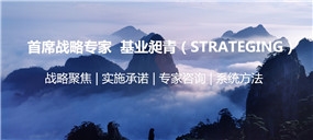 上海战略咨询公司，管理咨询公司上海战略咨询公司哪里做得好