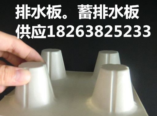 新闻联播%晋城楼顶花园排水板厂家---欢迎光临
